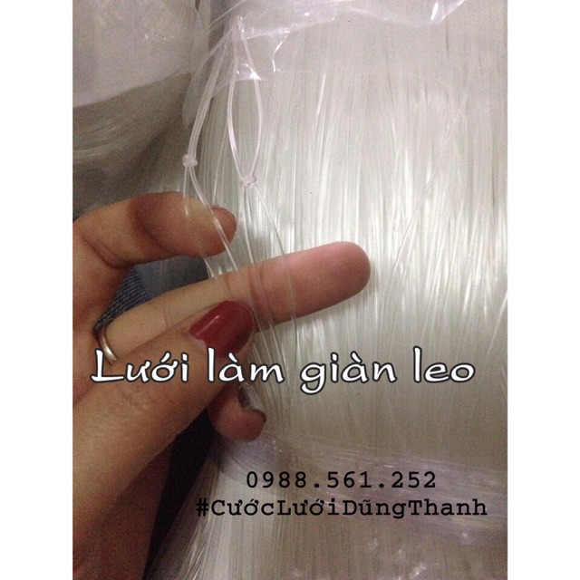 Lưới leo giàn cước đúc cao 1.5m x 120m (giàn dưa leo, giàn bí, giàn mướp...) . Ô lưới 20x20cm dungpham65