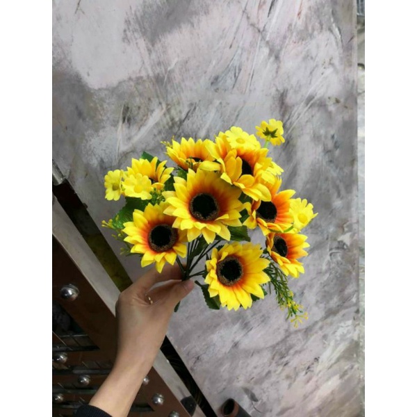 cụm hướng dương nhí siêu đẹp