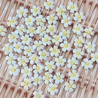 Hoa bột nail