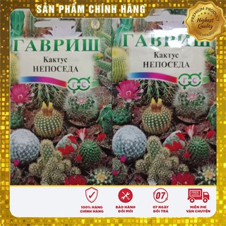 Combo 2 Gói Hạt Giống Xương Rồng Mix Tặng 1 ATONIK Kích Mầm