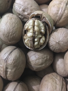 Óc chó -1kg