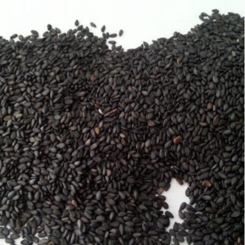 Hạt Mè Đen Dành Cho Các Dòng Hamster 100Gr