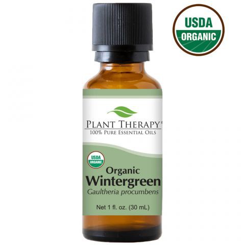 Tinh dầu lộc đề (wintergreen) hữu cơ Plant Therapy 30mL