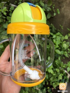 Bình uống nước cao cấp Dolphin 240ml