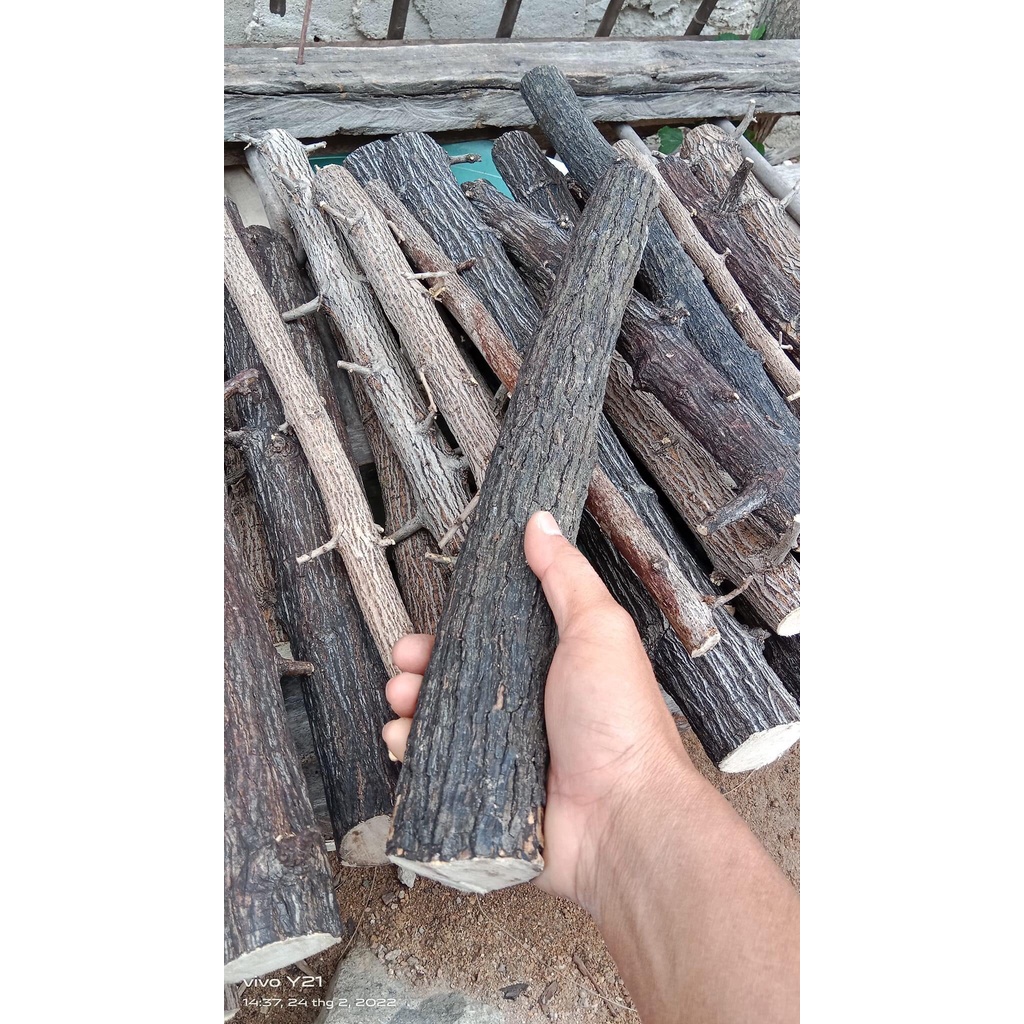 LŨA THẠCH SÙNG CÓ VÕ - CHUYÊN SET UP LAYOUT RỪNG BỂ THỦY SINH 1KG - LŨA THẴNG ĐẸP