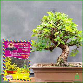 Phân Dơi 150Gram