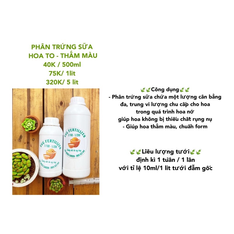 PHÂN SỮA TRỨNG