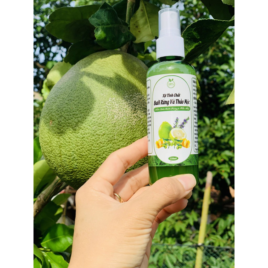 Xịt Tinh Dầu Bưởi Hương Nhu Dưỡng Tóc Goss Việt - Hàng Thiên Nhiên | BigBuy360 - bigbuy360.vn