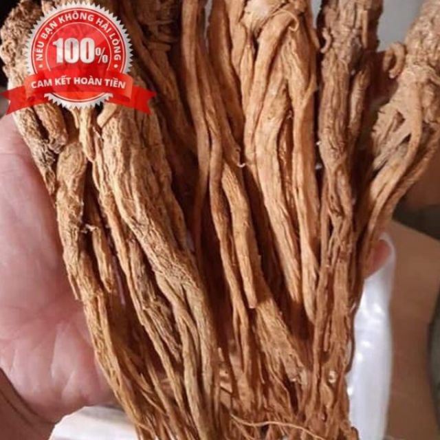 Sỉ như lẻ 1kg củ sâm đương quy khô