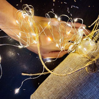 Dài 5M 50 Bóng Đèn Led Đom Đóm Fairy Light Đèn Led Dây Decor Trang Trí Quấn Cây Noel Xài Pin AG13