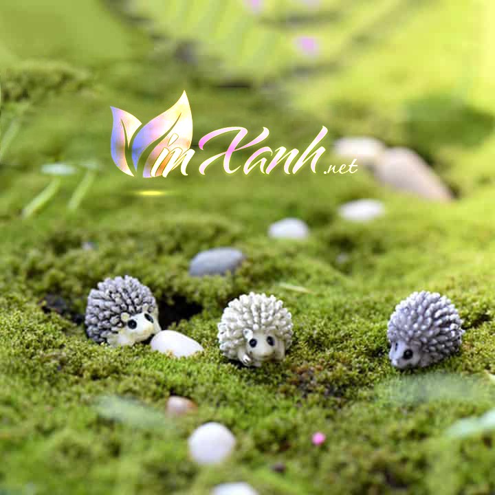 Phụ kiện nhím mini trang trí tiểu cảnh, terrarium, hồ cá