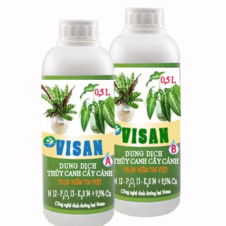 Dung dịch thủy canh cây cảnh