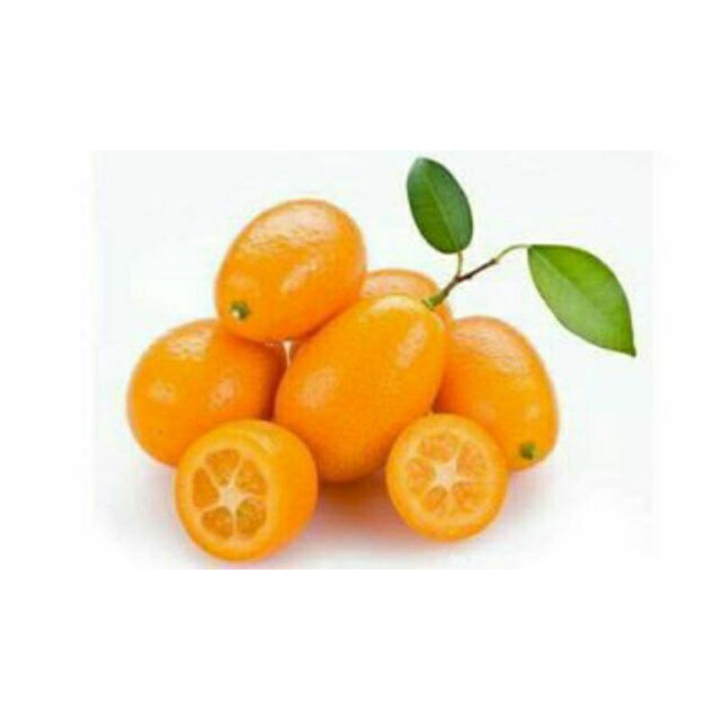 Cây tắc thái ngọt