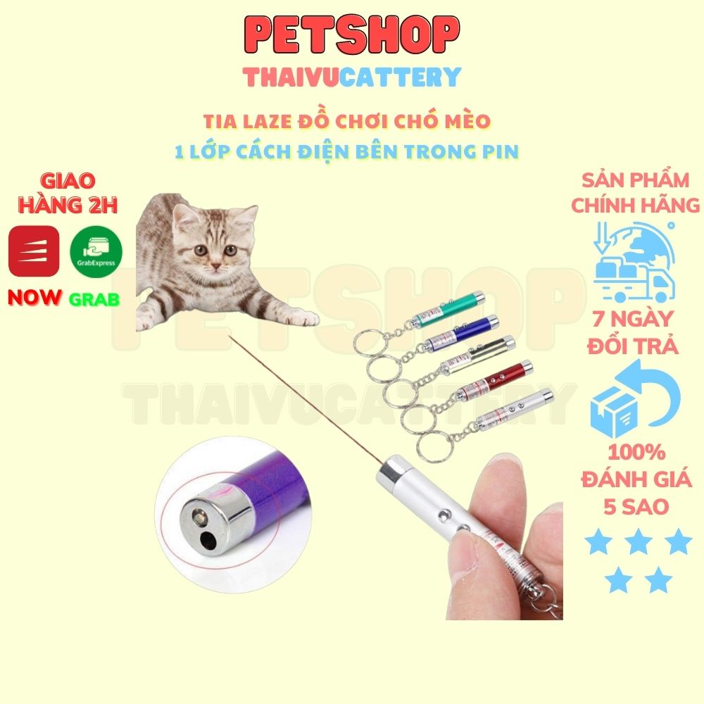 tia laze đồ chơi chó mèo