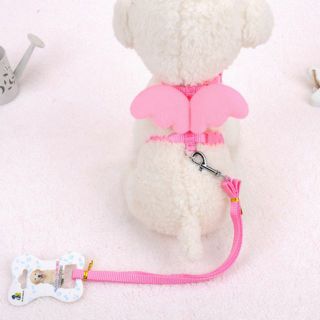 Bộ dây yếm đôi cánh thiên thần cho cún mèo