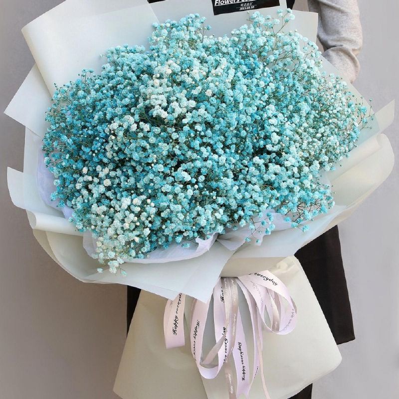 Bó Hoa baby khô , hoa giả trang trí decor make up mini chụp ảnh ướp làm đồ handmade 120g (6-7 cành)