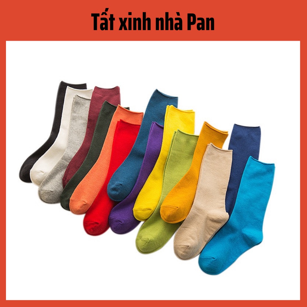 Tất Nhún Hàn Quốc chất cotton mềm mại PAN08 giá tốt