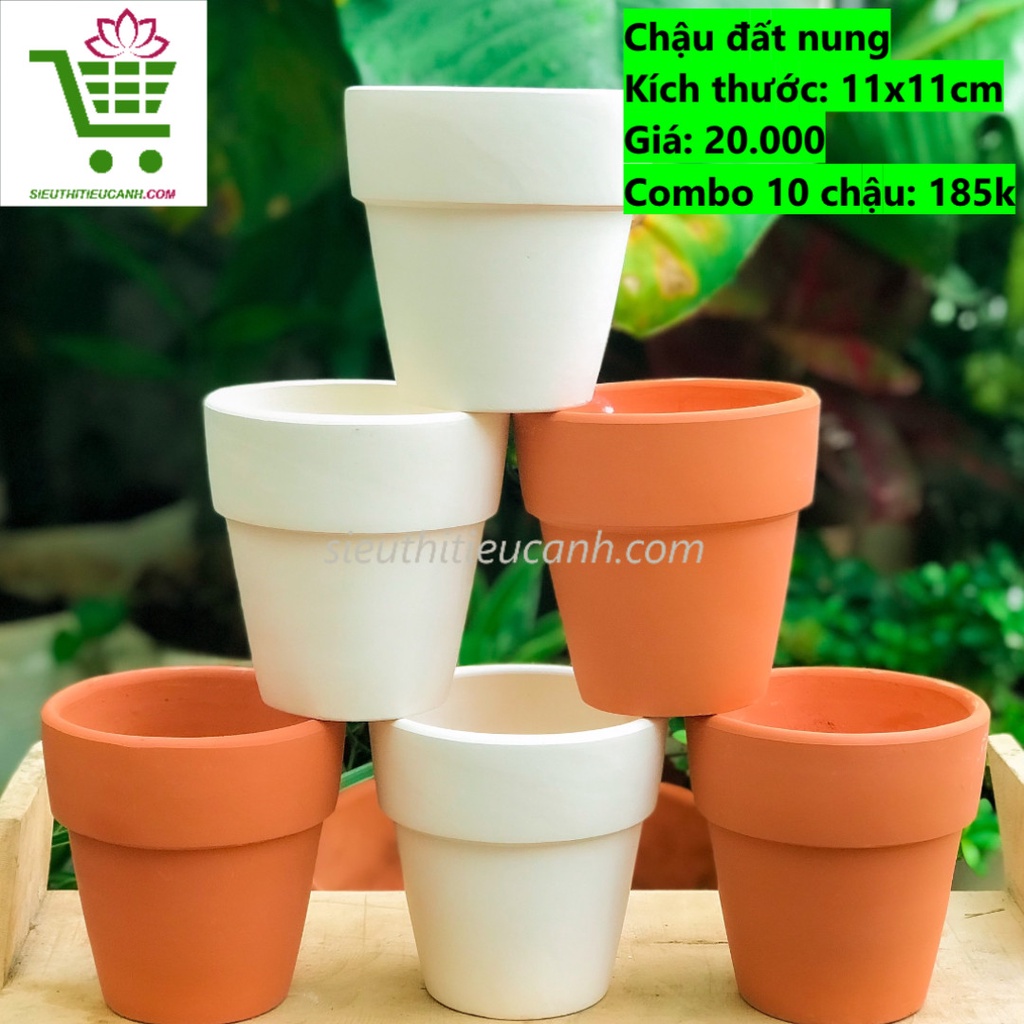 CHẬU ĐẤT NUNG 11