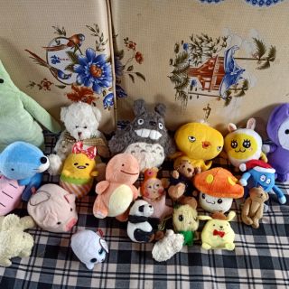 Gấu nhí nhố