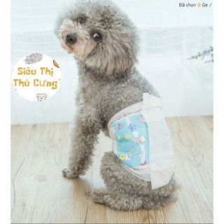 Tả dành cho bé trai cún ( chó mèo ) bịch 10 miếng