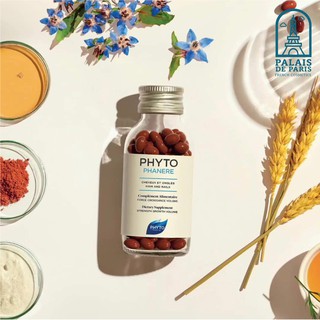 Chống rụng tóc Phyto