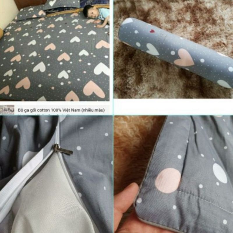 ♥️Ga gối cotton 100% ,mềm mát thoải mái. ga gối cotton ELISA