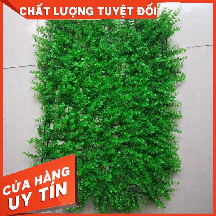 Thảm cỏ tai chuột nhựa pvc trang trí, thảm cỏ nhân tạo treo tường KT40x60cm