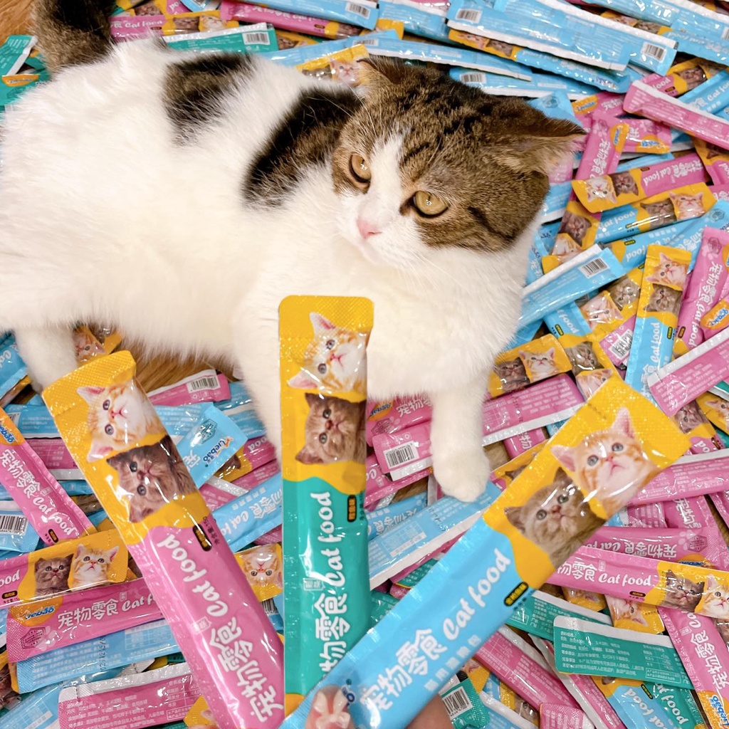 Que súp thưởng ăn vặt cá ngừ cho mèo