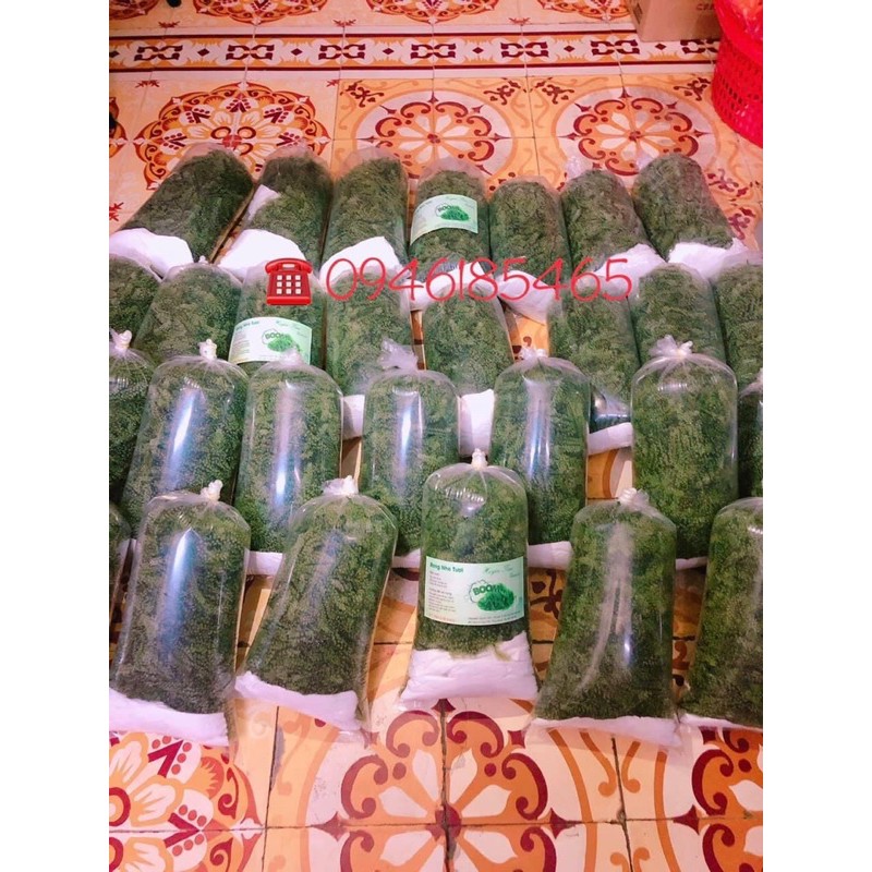 RONG NHO BIỂN TƯƠI ( ĐÓNG TÚI 1 KG) | BigBuy360 - bigbuy360.vn