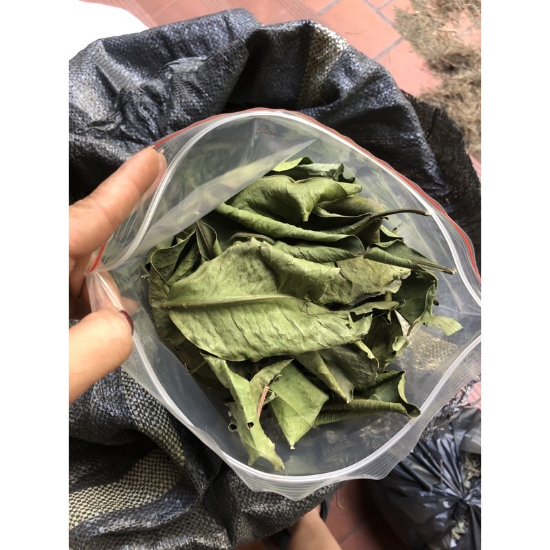 Lá Bưởi khô [1KG] Hàng sạch đẹp