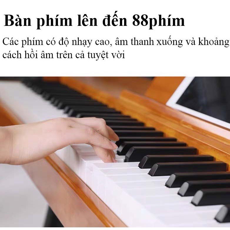 Đàn Piano gỗ, đàn Organ điện tử 88 phím, âm thanh siêu trong, thiết kế hiện đại, dễ dàng di chuyển mang theo