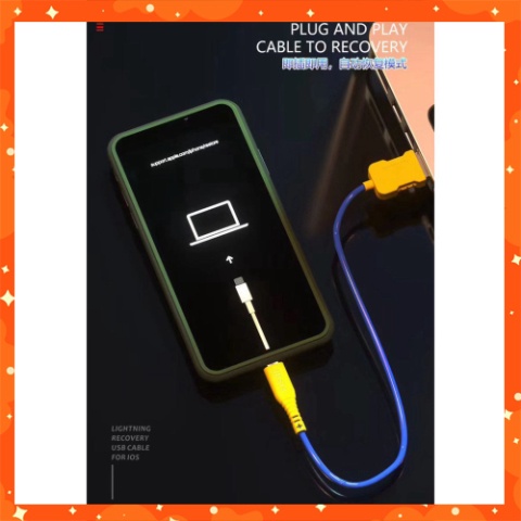 _ Cáp tự đưa iPhone, iPad về chế độ Recovery (chạy phần mềm) không cần bấm nút hãng Mechanic