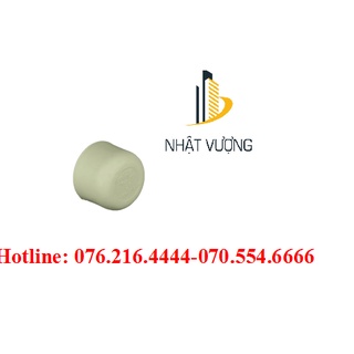 Đầu bịt ống nhiệt tiền phong d75 d90 d110