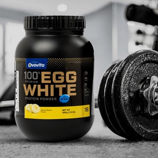 Protein Lòng Trắng Trứng Cao Cấp Ovovita Hương Chuối. Hũ 560gr