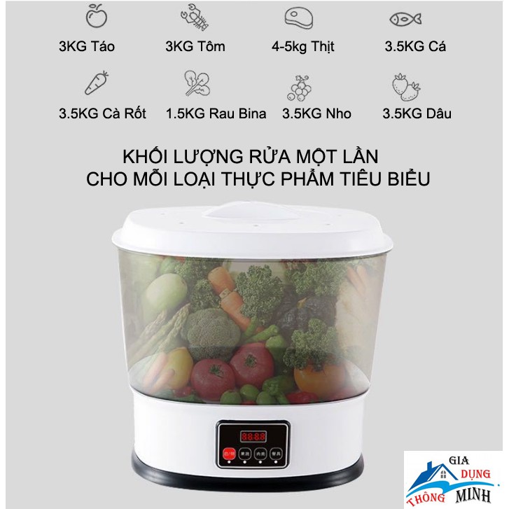 Máy rửa và khử trùng thực phẩm rau củ quả, các loại thịt, thủy hải sản bằng sục Ozone 10L