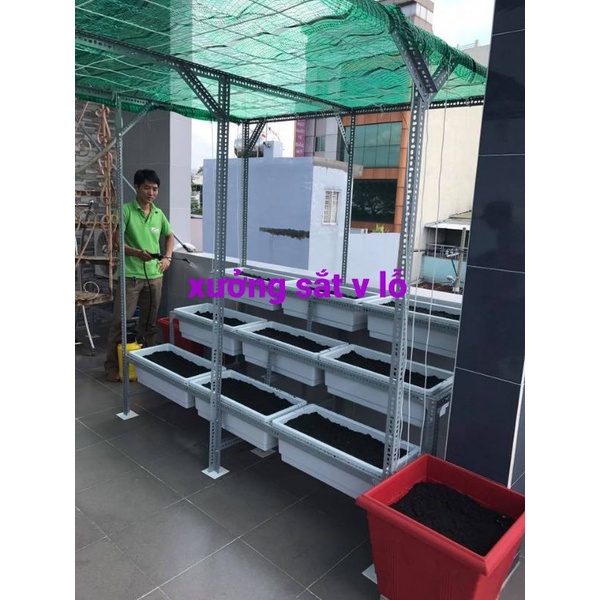 Cây sắt v lỗ dài 2M dùng để trồng bầu ,trồng bí ,trồng mướp .dưa leo..vv