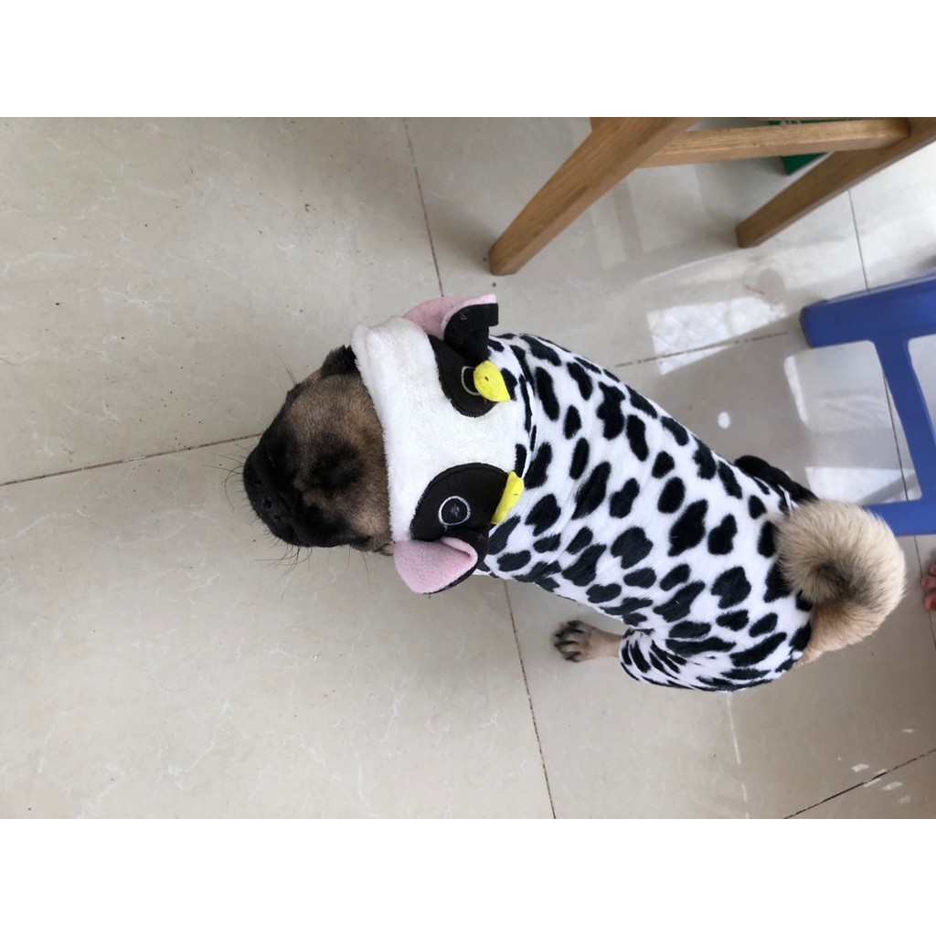 Áo chó mèo thú cưng hình bò sữa chất liệu vải bông mịn cực đáng yêu cho pet từ 0,5kg đến 10kg