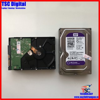 Ổ Cứng HDD 500Gb Western Purple (Tím) - Bảo hành 24 Tháng