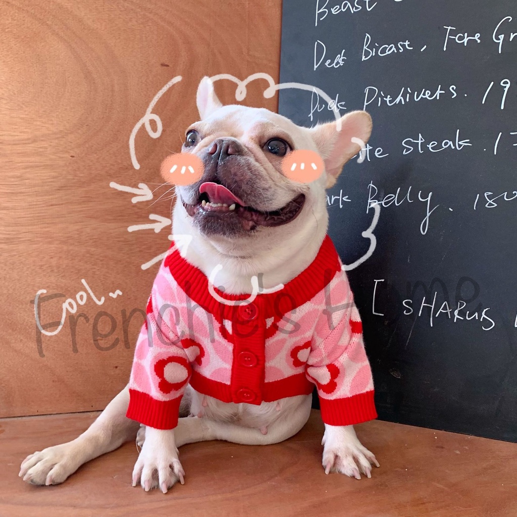 🤩 ÁO LEN "BÔNG HOA ĐỎ🌺" CHO CHÓ BULL/PUG ( FRENCHIE'S FLOWER SWEATER )🎊