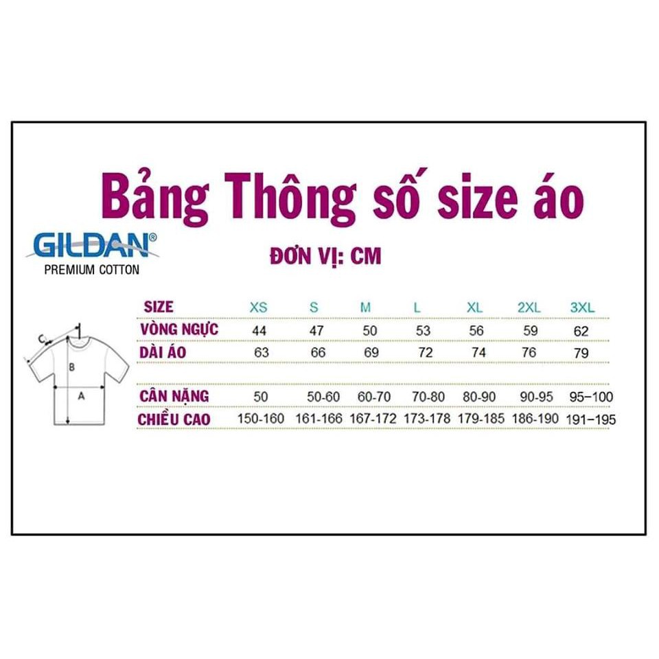 Áo Thun WWE Seth Rollins "Redesign, Rebuild, Reclaim"