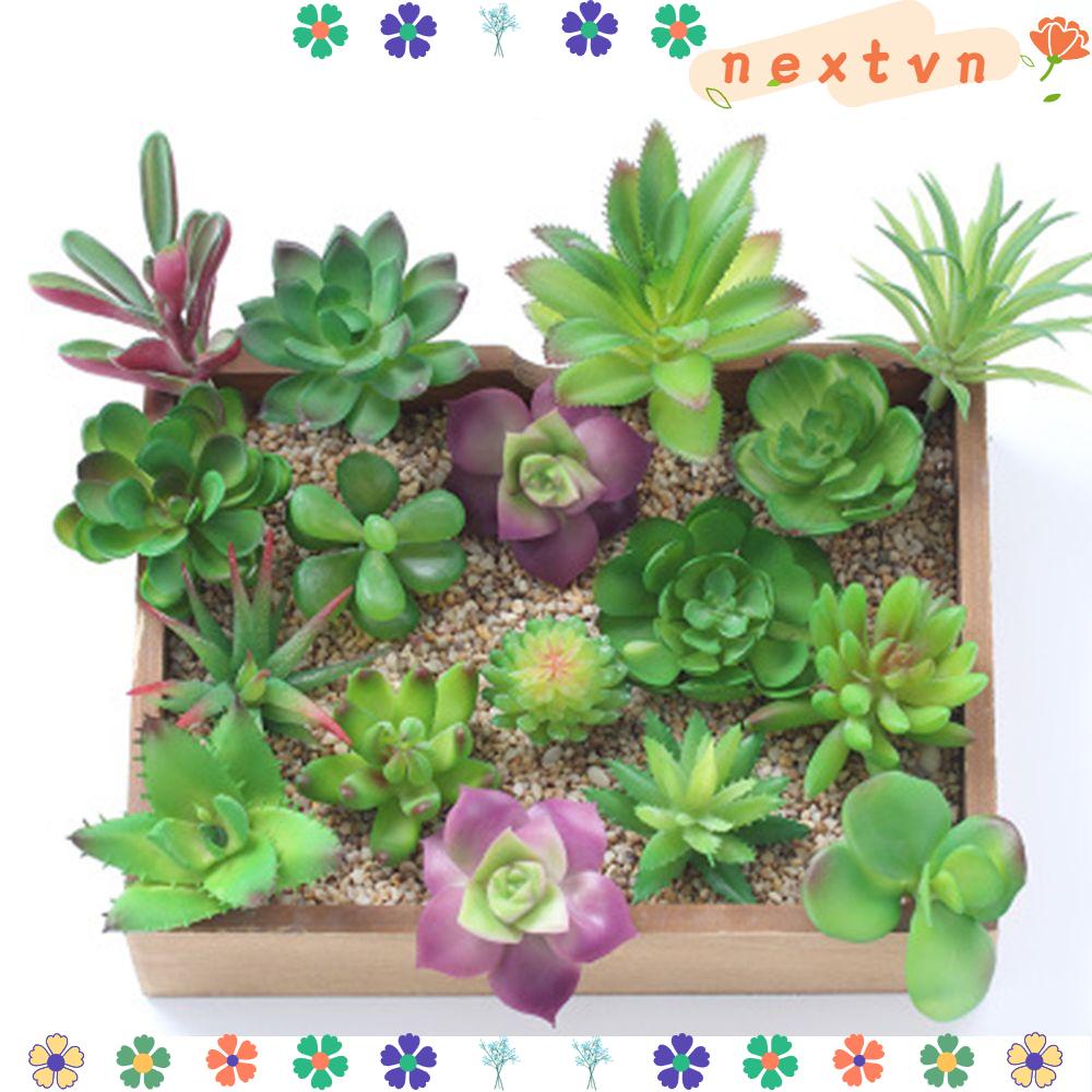 Cây sen đá nhân tạo dùng trang trí độc đáo