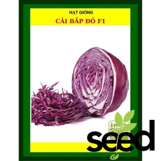 1G - Hạt Giống Cải Bắp Đỏ