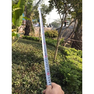 Thước đo TOPA - Thước mét cứng - Dụng cụ đo lường