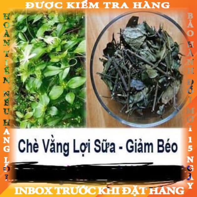 Mua Lá chè vằng sẻ hái trên núi 1 kg túi to đùng ( lá khô ) theanh giá ...