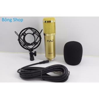 Mic thu âm cao cấp BM900