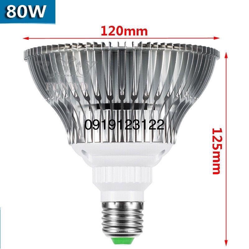 Đèn LED trồng cây, trồng rau trong nhà 80w , E27