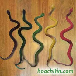 SIÊU RẺ Mô Hình Con Rắn Đồ Chơi Cao Su 50cm Rắn Fake Món Quà Vật Halloween MỚI NHẬP  Dbán xong