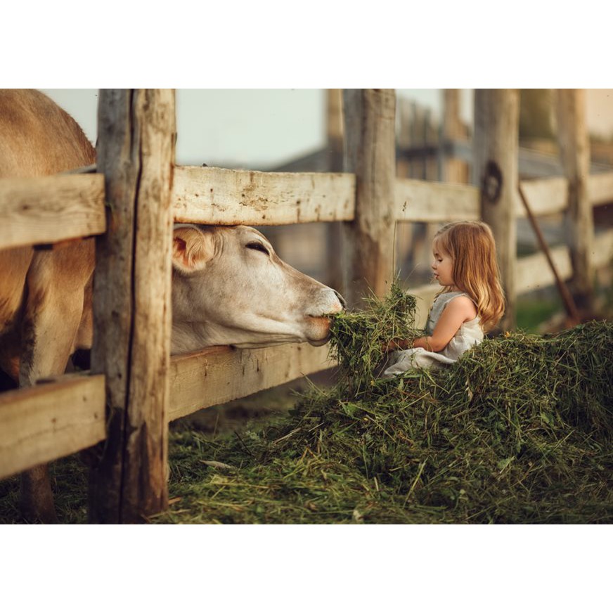  Canxi milk (canxi sữa) Bioisland cho bé từ 7 tháng trở lên