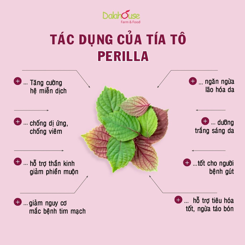 Bột tía tô Dalahouse (hộp 20 gói)