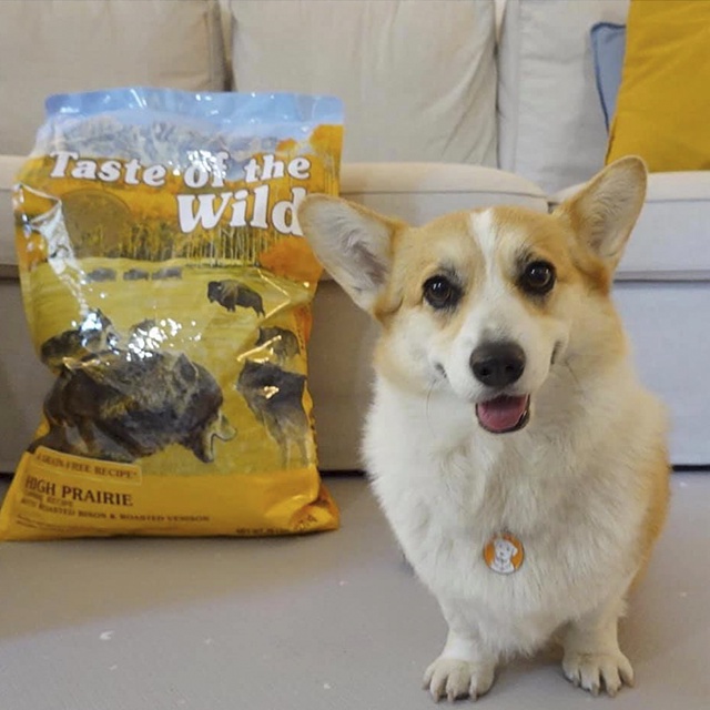 Thức Ăn Cho Chó Corgi Taste Of The Wild Bao 2kg -  High Praire Bò Rừng &amp; Nai Nướng, Trái Cây Rau Củ Quả